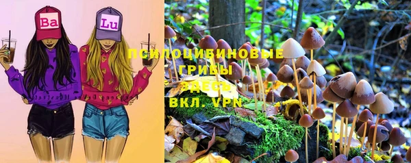 метамфетамин Белокуриха