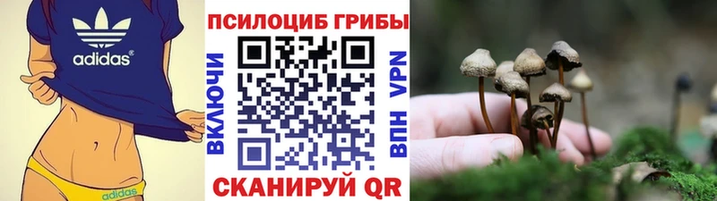 Галлюциногенные грибы Cubensis  KRAKEN ССЫЛКА  Гремячинск 
